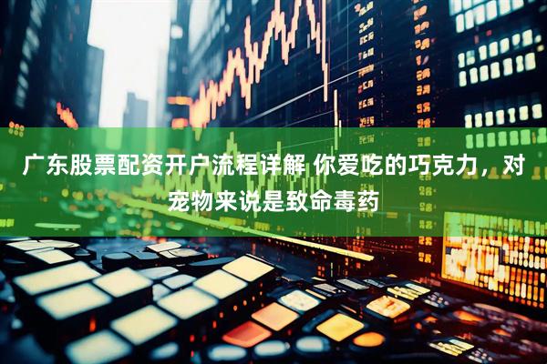 广东股票配资开户流程详解 你爱吃的巧克力，对宠物来说是致命毒药